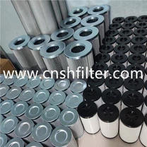 Power Plant Duplex Filter Element 0250DN025W/HC