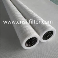 Power Plant Fixed Cold Water Filter SG-65/0.7