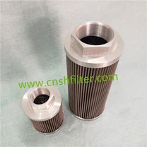Suction Filter HQ25.300.12Z